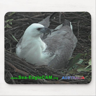 Mum Sitting on 2 Eggs 2013 Mousepad Horizontal