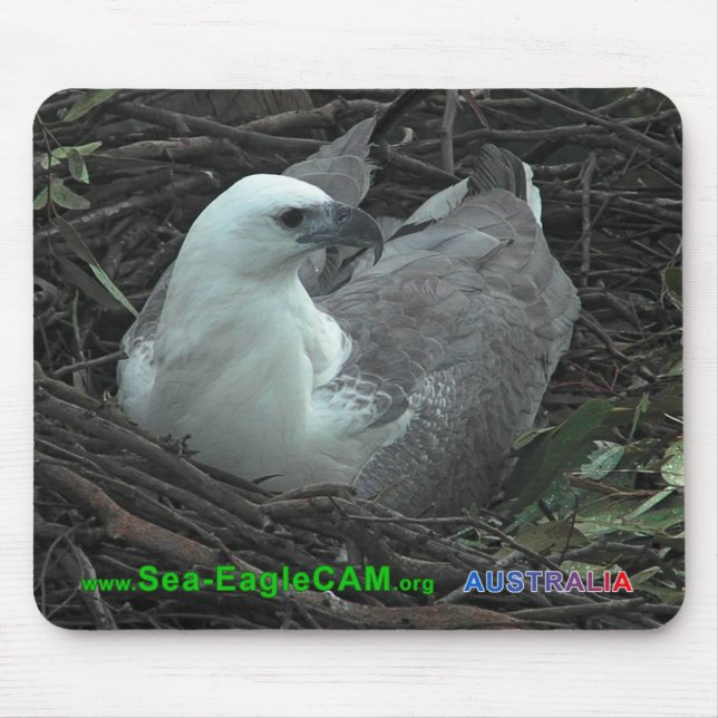 Mum Sitting on 2 Eggs 2013 Mousepad Horizontal (Front)