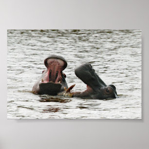 Mum & son hippos playing poster