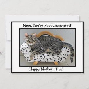 Mum, You're Puurrfect! Tiger Cat Mother's Day Holiday Card