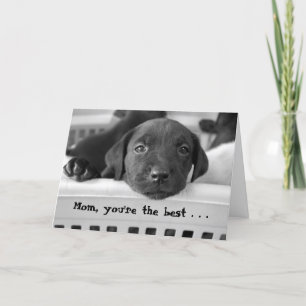 Mum, you're the best . . . card