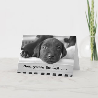 Mum, you're the best . . . card