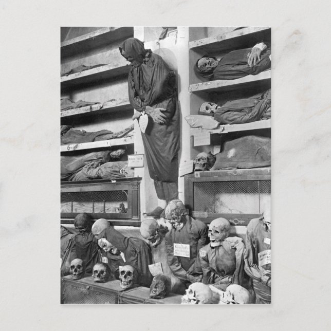 Mummies in the Palermo catacombs, Italy Postcard (Front)