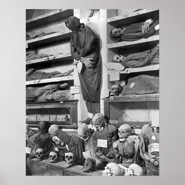Mummies in the Palermo catacombs, Italy Poster (Front)