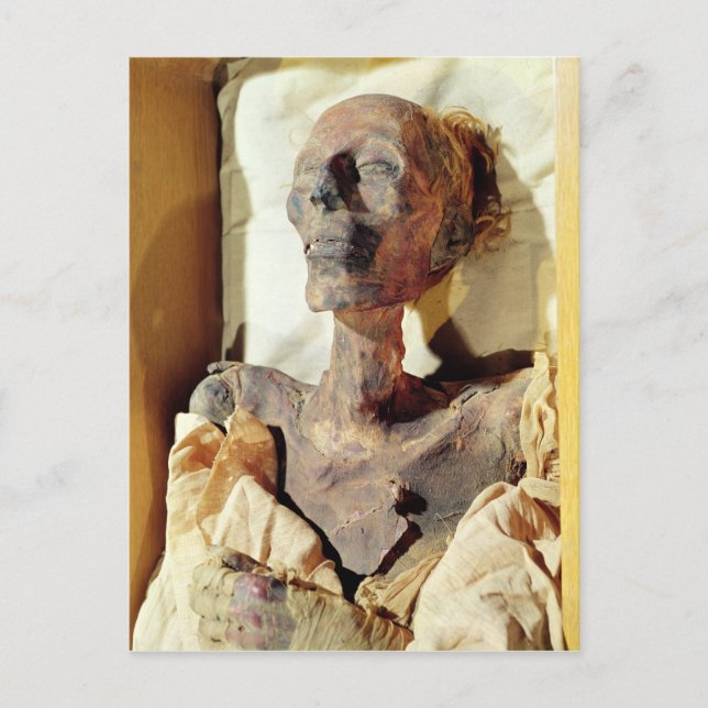 Mummified body of Ramesses II  found in a tomb Postcard (Front)