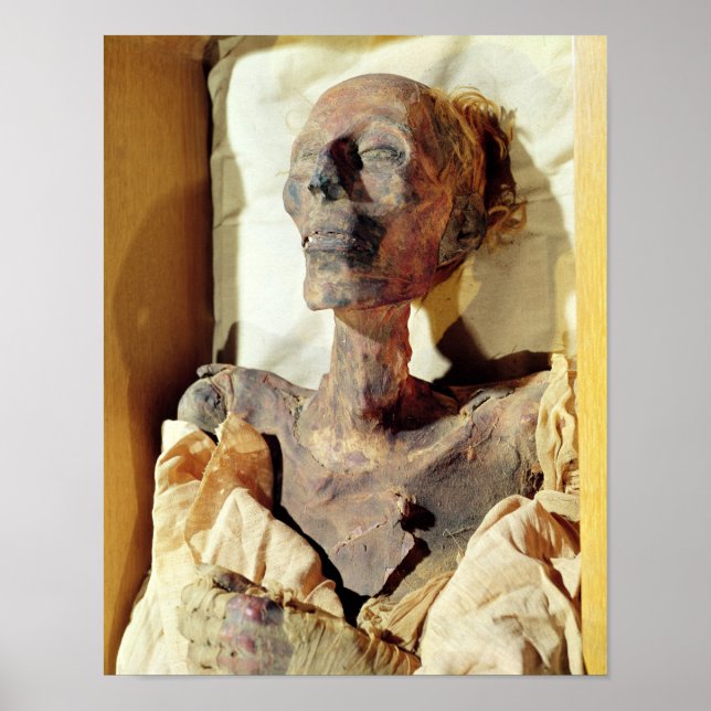 Mummified body of Ramesses II  found in a tomb Poster (Front)