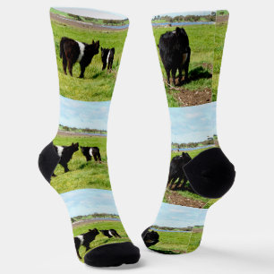 Mummy And Babies Galloway Cow, Crew Socks