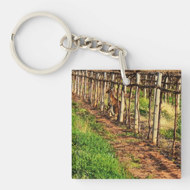 Mummy And Baby Australian Kangaroo, Key Ring (Front)