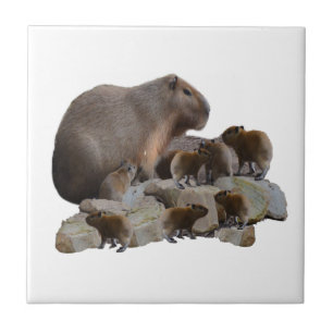Mummy And Baby Capybaras, Ceramic Tile