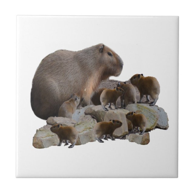 Mummy And Baby Capybaras, Ceramic Tile (Front)