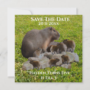 Mummy And Baby Capybaras, Save The Date