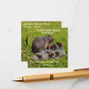 Mummy And Baby Capybaras, Save The Date Enclosure Card