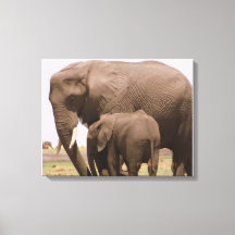 Mummy and Baby Elephant