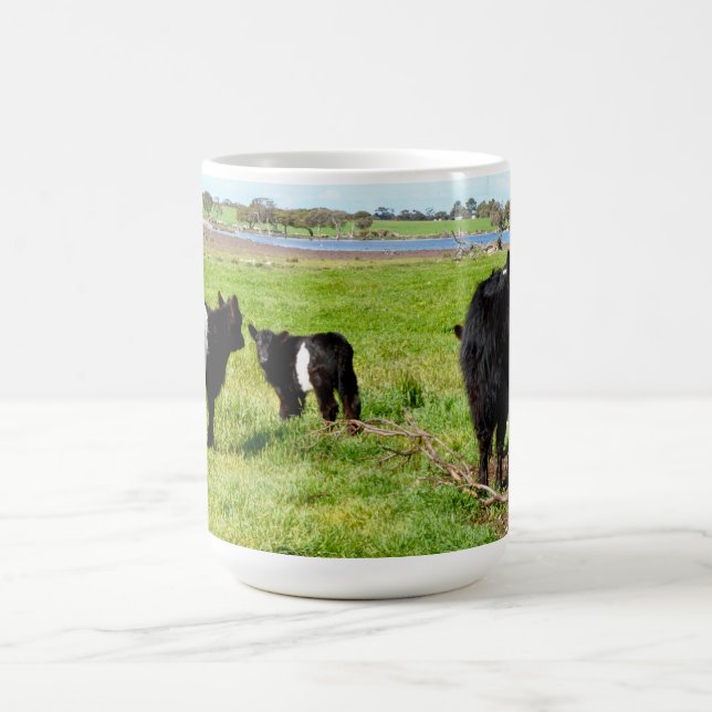 Mummy And Baby Galloway Cow, Coffee Mug (Center)