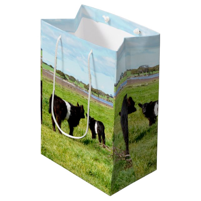 Mummy And Baby Galloway Cow, Gift Bag (Front Angled)