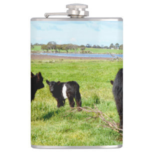 Mummy And Baby Galloway Cow, Hip Flask