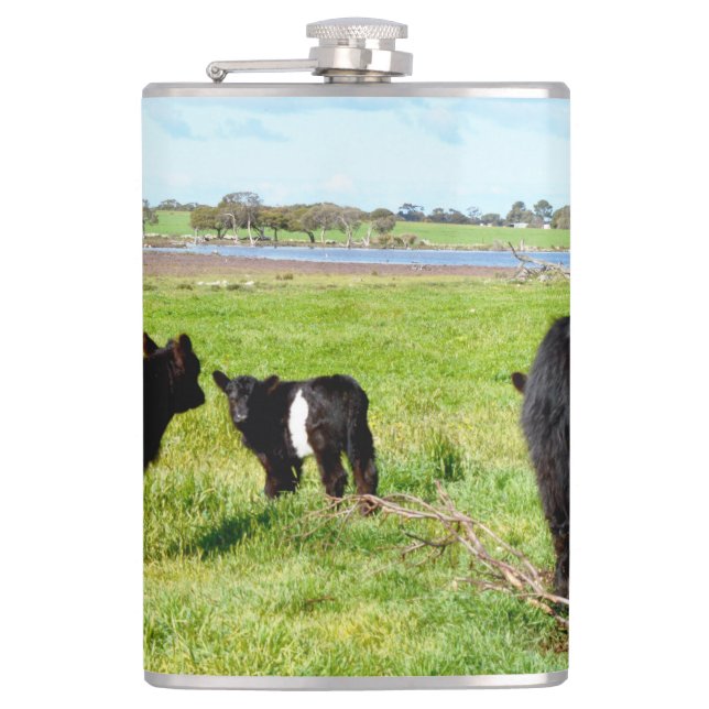 Mummy And Baby Galloway Cow, Hip Flask (Front)