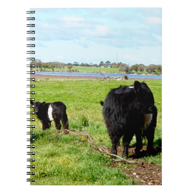 Mummy And Baby Galloway Cow, Notebook (Front)