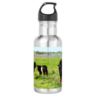 Mummy And Baby Galloway Cows, 532 Ml Water Bottle