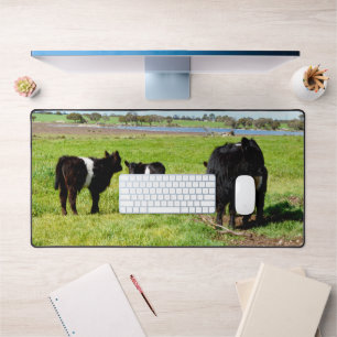 Mummy And Baby Galloway Cows, Desk Mat