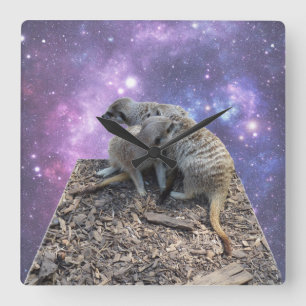 Mummy And Baby Meerkat, Square Wall Clock