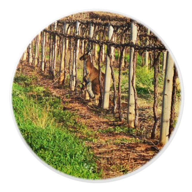 Mummy Kangaroo In The Grapevines,  Ceramic Knob (Front)