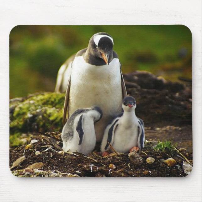 Mummy Penguin and babies Mouse Pad (Front)