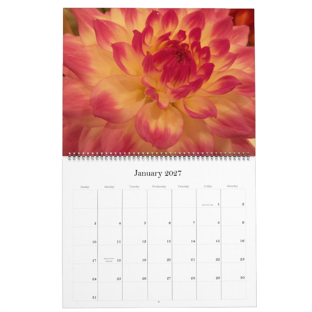 Mums & Dahlias 2012 Calendar (Jan 2027)