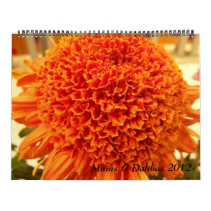 Mums & Dahlias 2012 Calendar