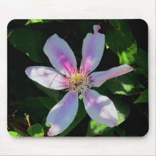 Mum's Flower Garden Mouse Pad