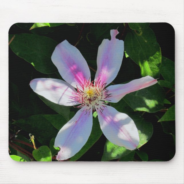 Mum's Flower Garden Mouse Pad (Front)