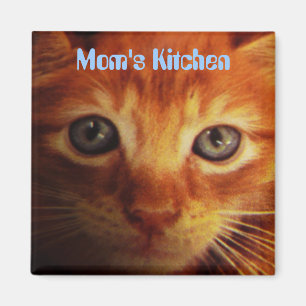 Mum's Kitchen, blue eyed yellow kitten Magnet