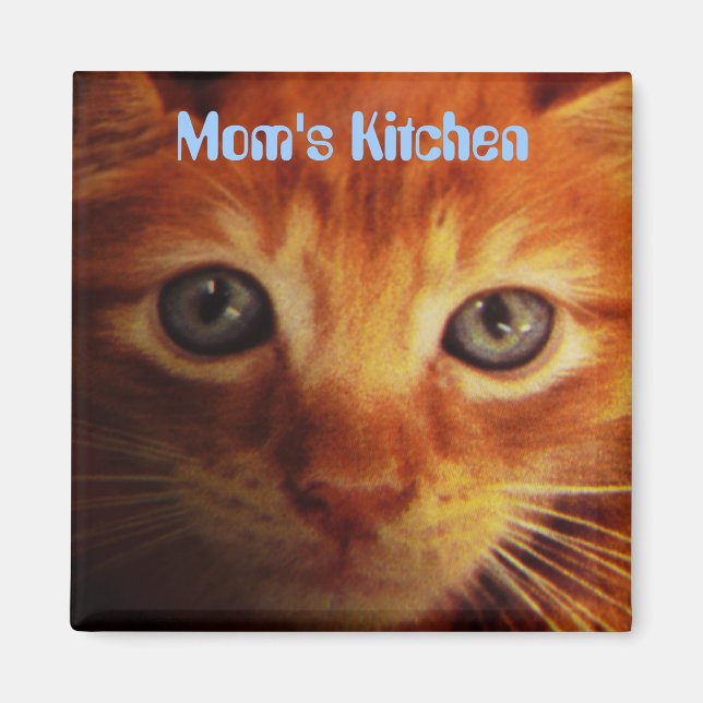 Mum's Kitchen, blue eyed yellow kitten Magnet (Front)