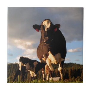 Mum's Milk Tile