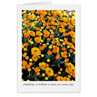 Mums (No. 0732)