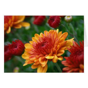 Mums on Fire