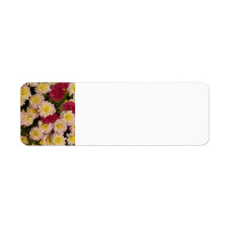 Mums return address labels