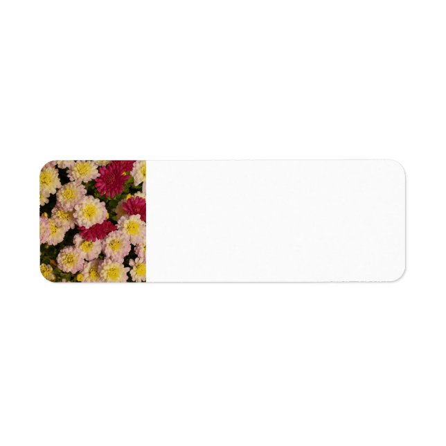 Mums return address labels (Front)