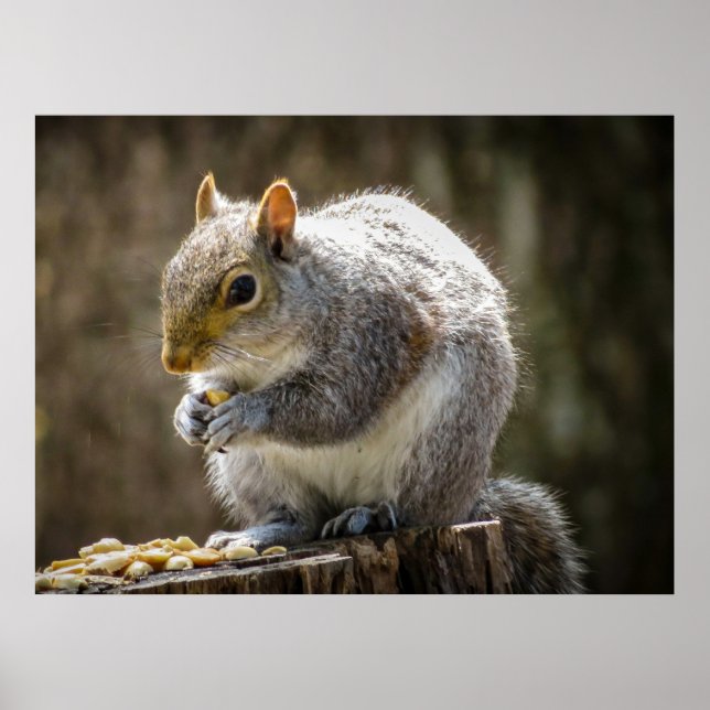 Munchies Poster (Front)