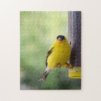 Munching Goldfinch Jigsaw Puzzle