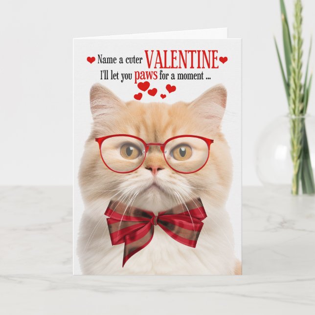 Munchkin Cat Feline Humour Valentine's Day Holiday Card (Front)