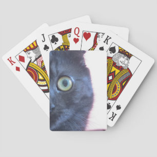 Munchkin Cat Playing Cards