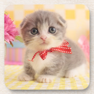 Munchkin Kitten Coaster