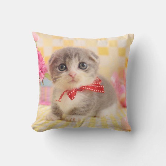 Munchkin Kitten Cushion (Front)