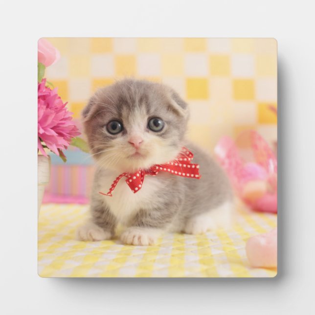 Munchkin Kitten Plaque (Front)