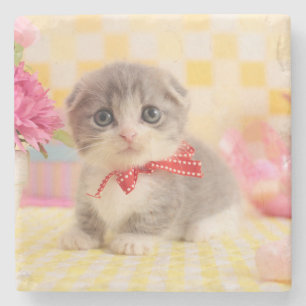 Munchkin Kitten Stone Coaster