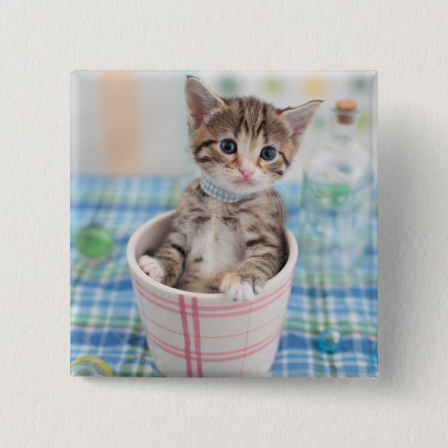 Munchkin Kitten With Pretty Ribbon 15 Cm Square Badge (Front)