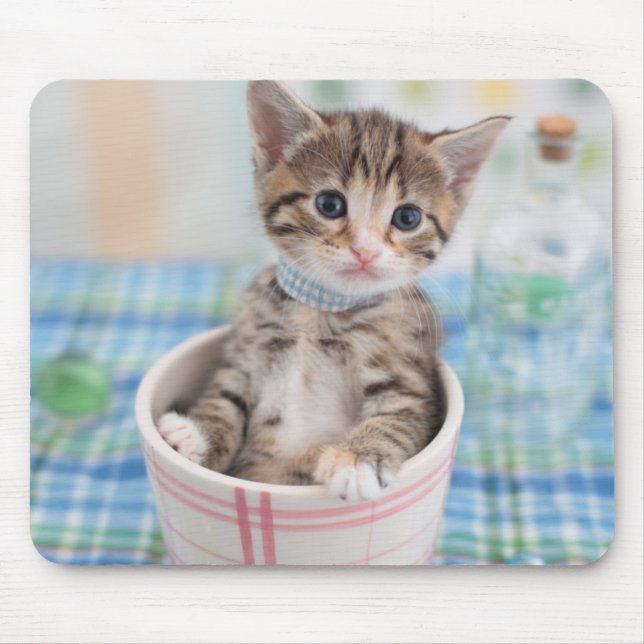 Munchkin Kitten With Pretty Ribbon Mouse Pad (Front)