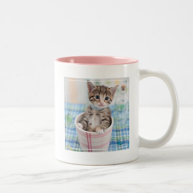Munchkin Kitten With Pretty Ribbon Two-Tone Coffee Mug (Right)