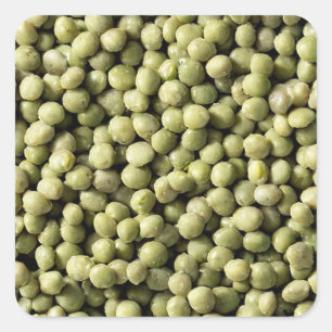 Mung Beans Square Sticker